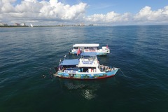 Tjänst: Glassbottom Boat / Snorkeling Coral Reef Excursion