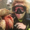 Tjänst: One Day Discover Scuba Diving