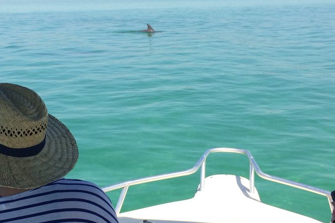 WILD FLORIDA BOATING ADVENTURE