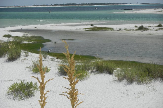 WILD FLORIDA BOATING ADVENTURE