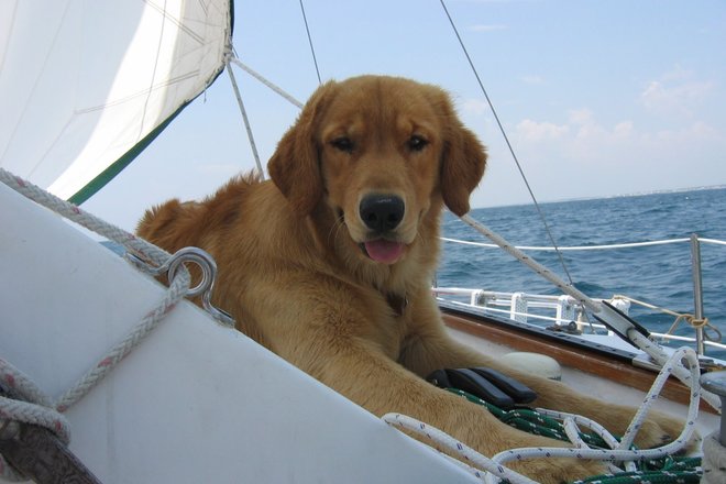 WILD FLORIDA BOATING ADVENTURE