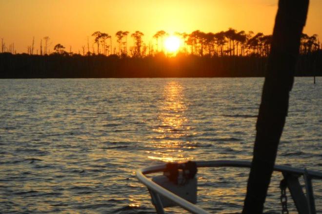 WILD FLORIDA BOATING ADVENTURE