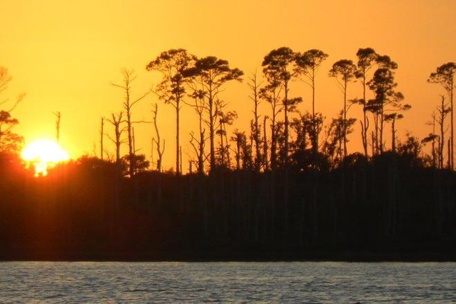 WILD FLORIDA BOATING ADVENTURE