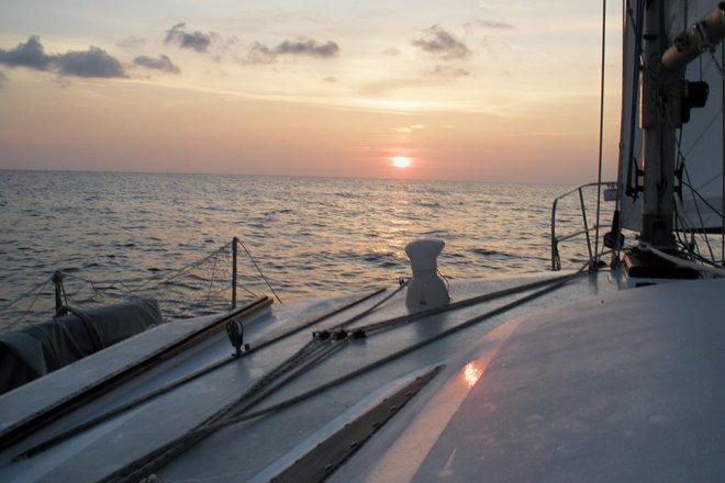 WILD FLORIDA BOATING ADVENTURE