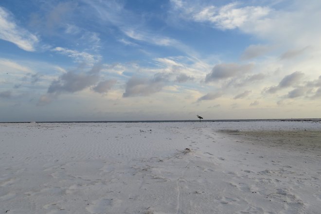 WILD FLORIDA BOATING ADVENTURE