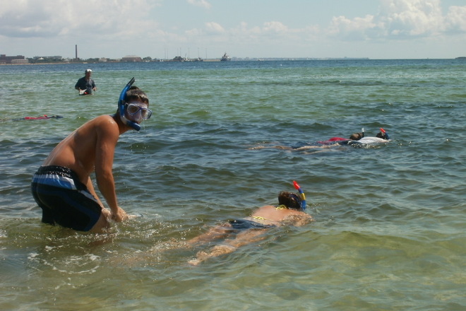 WILD FLORIDA BOATING ADVENTURE
