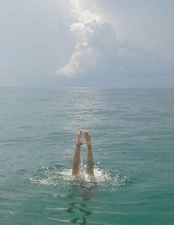 WILD FLORIDA BOATING ADVENTURE