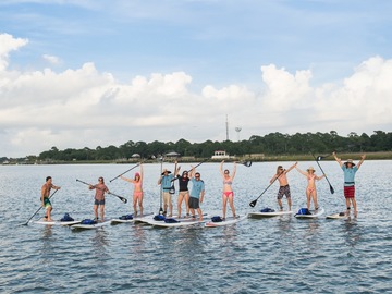 Offering: Dolphin Paddleboard Safaris