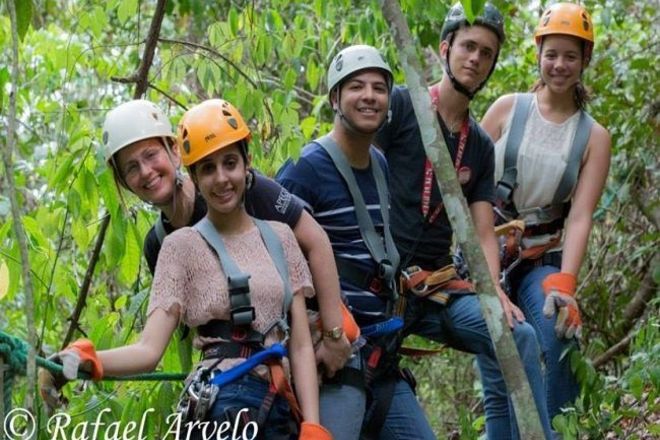 Zipline Canopy - Half Day Excursion
