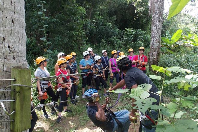 Zipline Canopy - Half Day Excursion